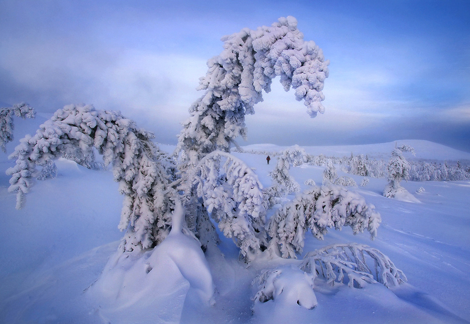 人々は通常ロシアの冬を恐れる。ウオッカと熊の毛皮がないと暮らせない程気温が低いと言われている。