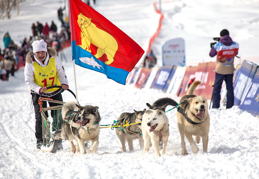 Penyelenggara lomba kemudian memutuskan untuk kembali menjadikan Beringia sebagai balap kereta luncur anjing terjauh di dunia. Pada 2014, para musher harus melintasi jarak 1.300 kilometer dan pada 2015 jarak yang harus ditempuh musher mencapai lebih dari 2.000 kilometer.