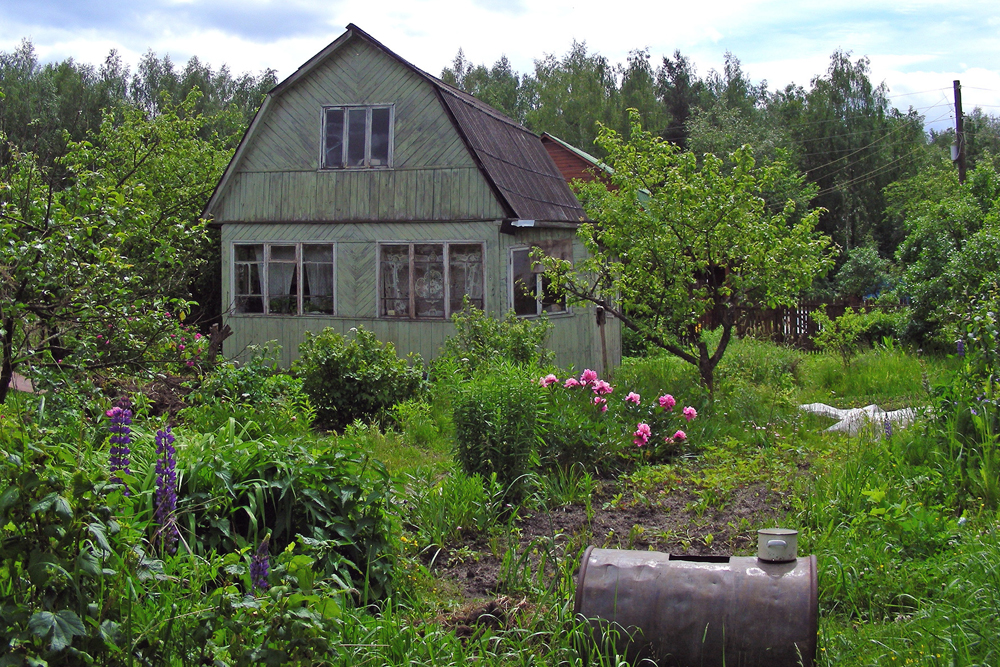 ソ連時代、ダーチャと言えば野菜や果物を育てる郊外の家を指した。家庭菜園だけではなく、家族が夏休みの週末にリラックスする場所でもあった。理想的なダーチャは、6ソトクの土地に建つ小さな家である。
