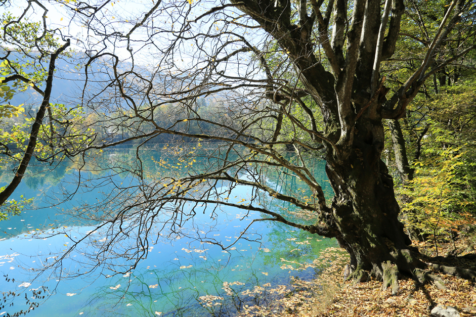 Још једна јединствена природна знаменитост Кабардино-Бaлкарије су Плава језера. Захваљујући свом хемијском саставу вода у њима је тиркизно-плаве боје. Током сунчаног дана вода је сасвим прозирна и видљивост достиже 70 метара. Ово крашко језеро је специфично и по томе што се у њега не улива ни једна река, већ се напаја подземним изворима.