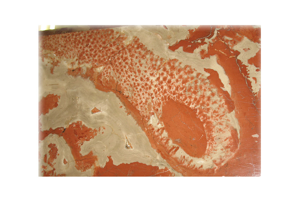 Esponja petrificada em coluna da estação Pervomáiskaia. Esponjas desse tipo são frequentemente encontradas no mármore vermelho \ Estação Pervomáiskaia.