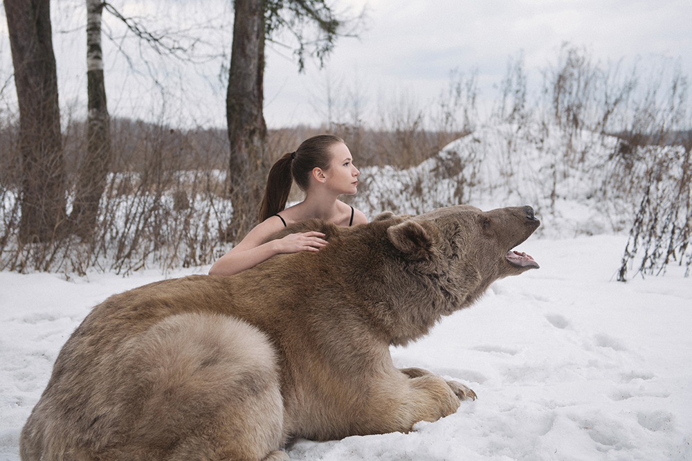 Olga Barantseva, une photographe russe, a récemment connu le succès grâce à une séance photo avec deux beautés russes et un ours de 700 kg prénommé Stépan, qui s’est déroulée dans une forêt russe enneigée : les deux jeunes femmes ont posé dans les bras d’un gentil ours. Il se trouve qu’Olga n’a pas travaillé uniquement avec des ours.