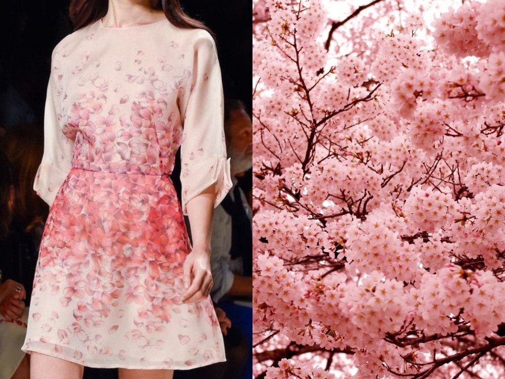 ブルマリン（2015年春夏）と日本の桜の花。