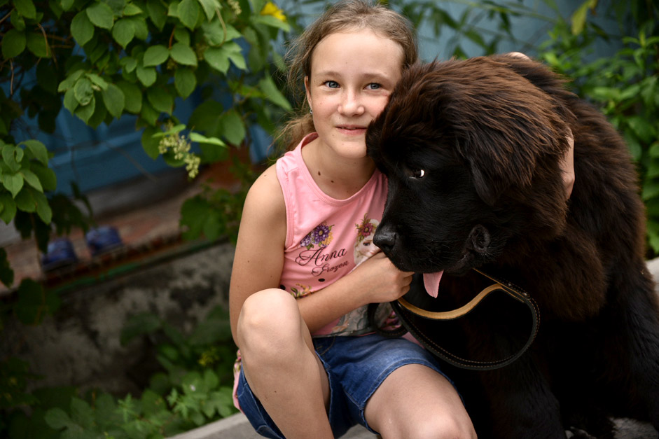 Даша Яицка с кученцето от породата Нюфаундленд, подарено от Владимир Путин. По време на „Пряката линия“ с руския президент момичето изпратило електронно писмо, в което го помолило да му подари куче.