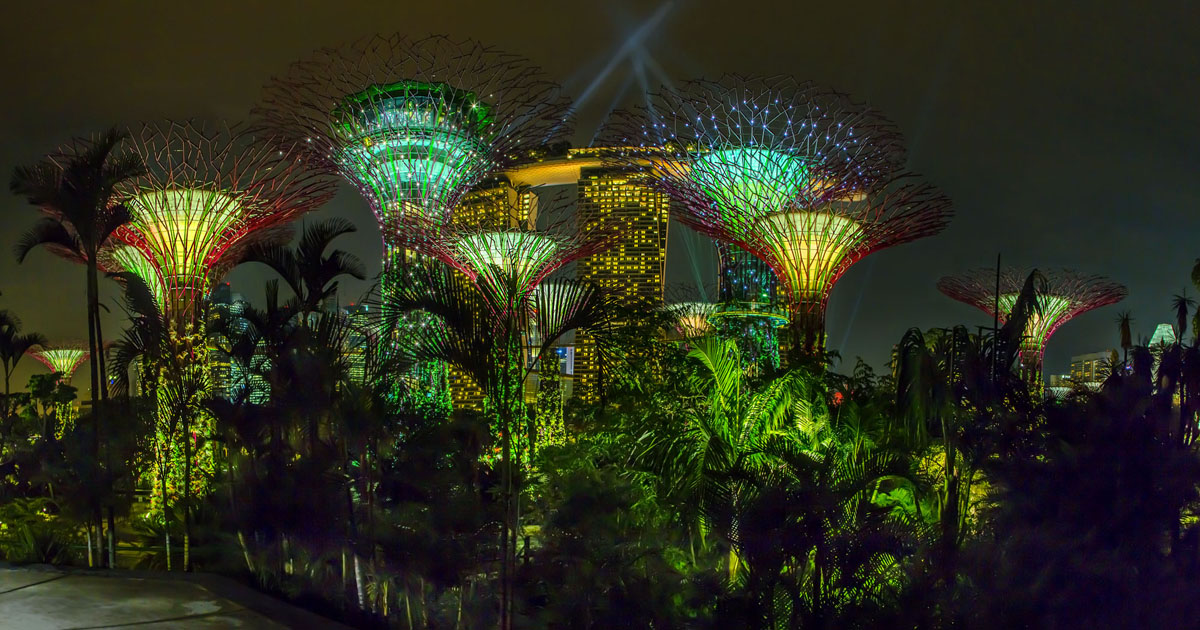 Gardens near the bay. The main attraction is the 18 futuristic trees with pedestrian suspension bridges linking them.