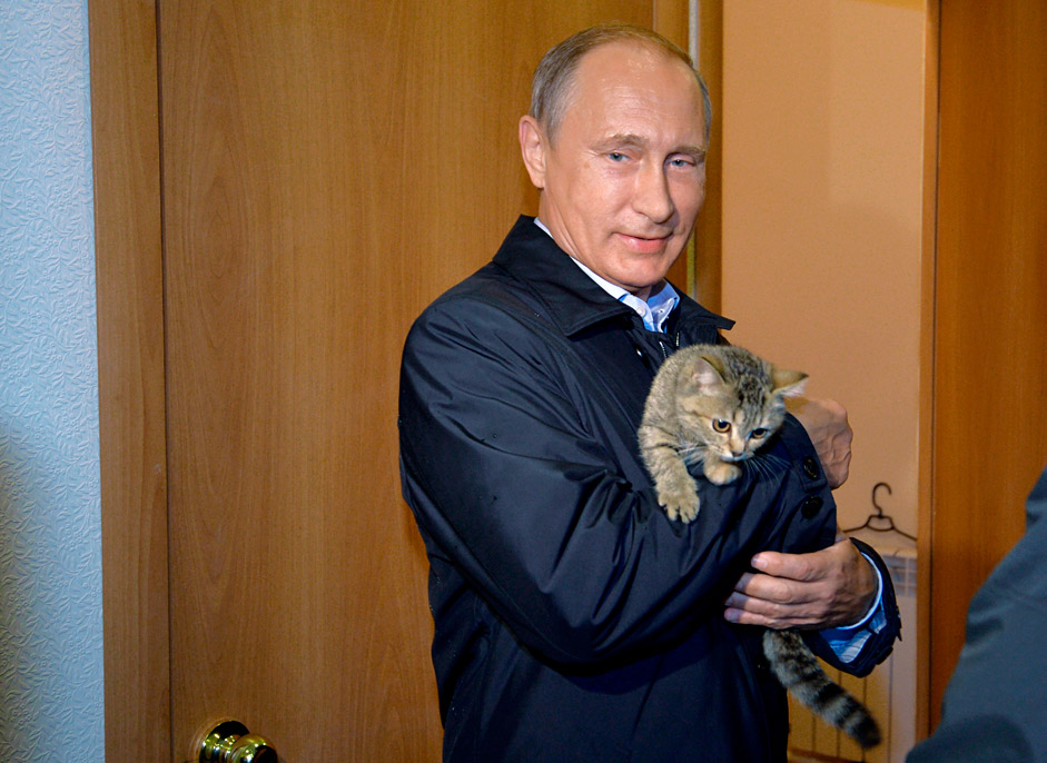 Le président russe Vladimir Poutine tient un chat. 