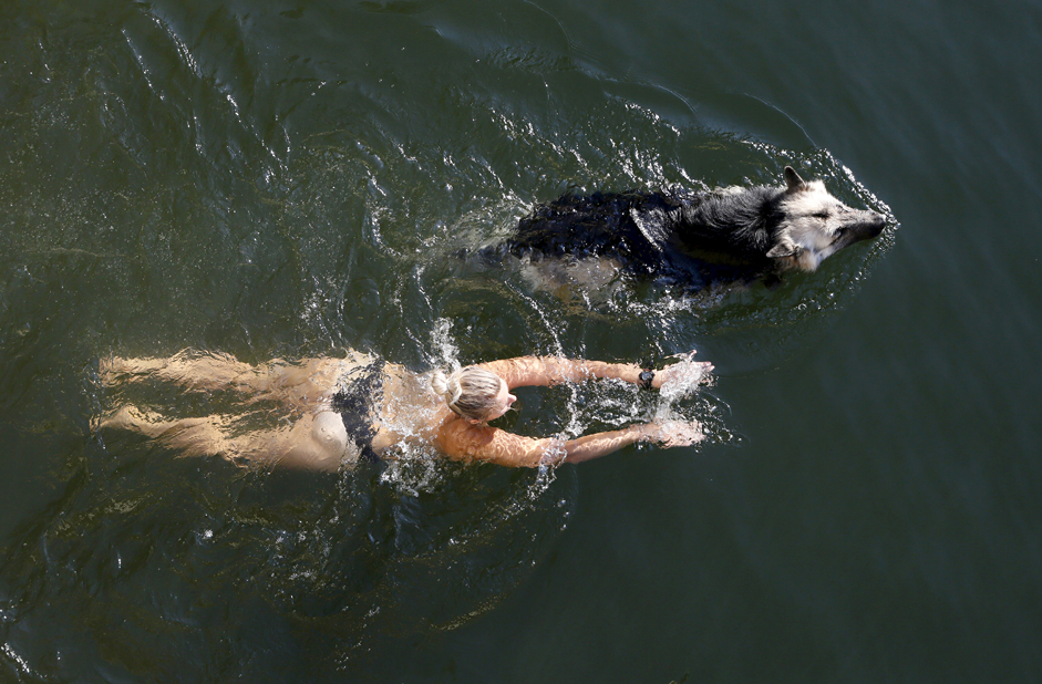 Eine Frau schwimmt mit ihrem Hund im sibirischen Fluss Jenissej nahe Krasnojarsk. 