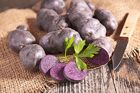 Die violett-amethystfarbige Kartoffelsorte Tschudesnik (zu Deutsch: „Wunderding“) ist reich an Antioxidantien und Vitamin C.