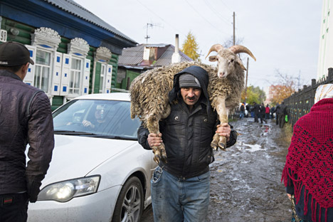 Orang Islam membawa domba untuk melakukan penyembelihan selama perayaan Eid al-Adha di kota Omsk.