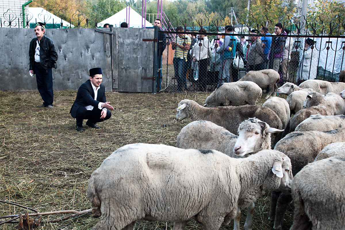 Segera setelah salat Idul Adha, umat Islam keluar untuk melakukan ritual pengurbanan. Hanya di Kazan ada sebanyak 17 wilayah yang melayani penyembelihan hewan kurban. Keluarga Ismail melaksanan ritual tersebut di tempat khusus yang disediakan di halaman masjid “Yardem”.