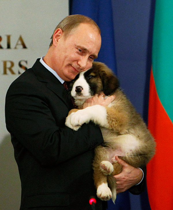 13 de noviembre de 2010, Sofía,  El primer ministro Vladímir Putin abraza a un perro pastor, regalo del primer ministro búlgaro Boiko Borisov.¿Quiere recibir la información más destacada sobre Rusia en su correo electrónico? Pincha en  y reciba cada viernes el material más interesante.