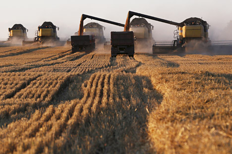 The basis of the Russian agricultural exports is formed by crops, vegetable oil, meat, poultry, fish and seafood.
