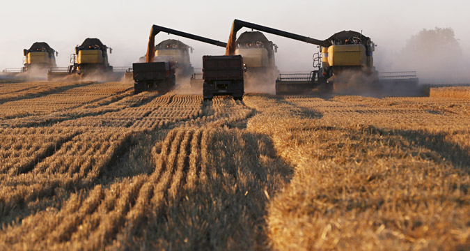 The total grain harvest amounted to 104.8 million tons in 2015.