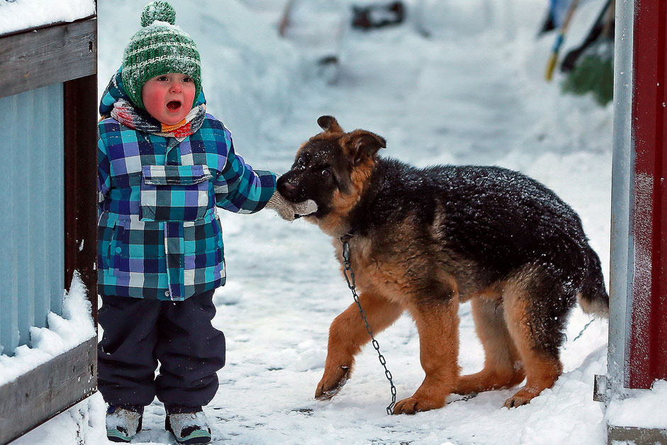 Russia. . Child and dog on the streets of the city.