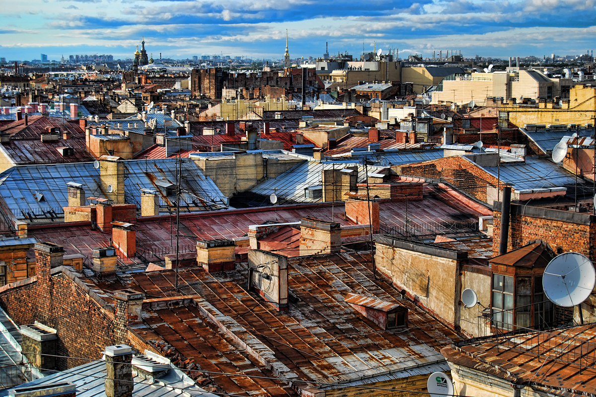 На петербургските покриви съществува цяла субкултура.
