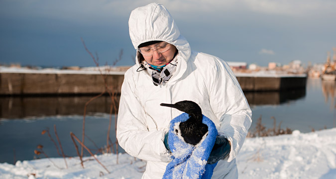 Seorang relawan mengikuti program Kementerian Darurat untuk menangkap burung-burung yang kelelahan di Nevelsk, wilayah Sakhalin.