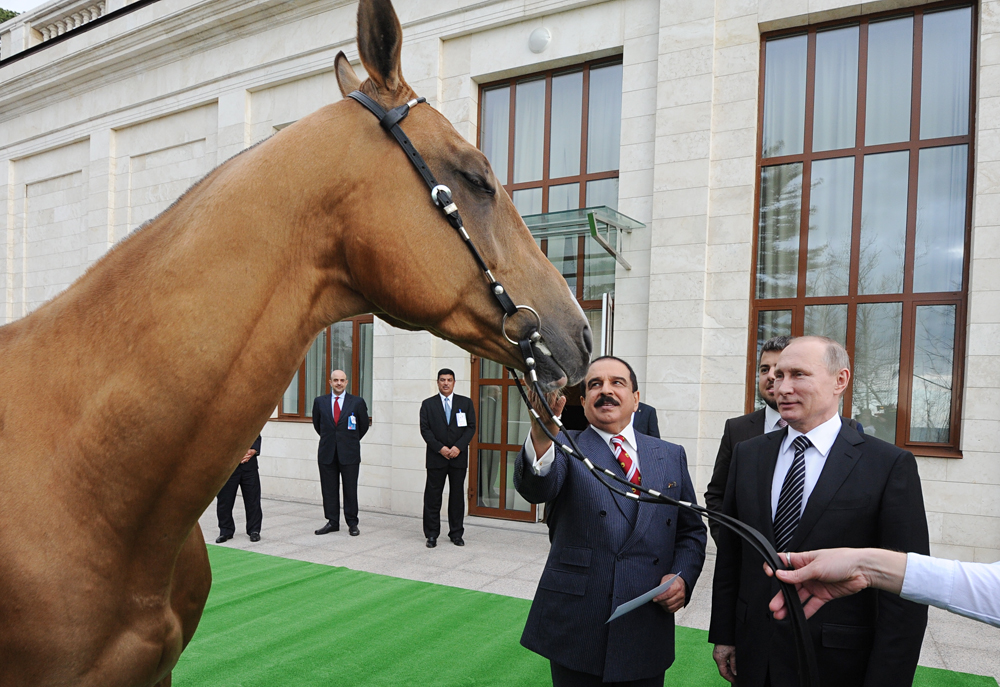 Russian President Vladimir Putin presents King Hamad bin Isa Al Khalifa of Bahrain with an Akhal-Teke horse called Khadzhibek during a meeting at Bocharov Ruchei residence, Feb. 8, 2016. 