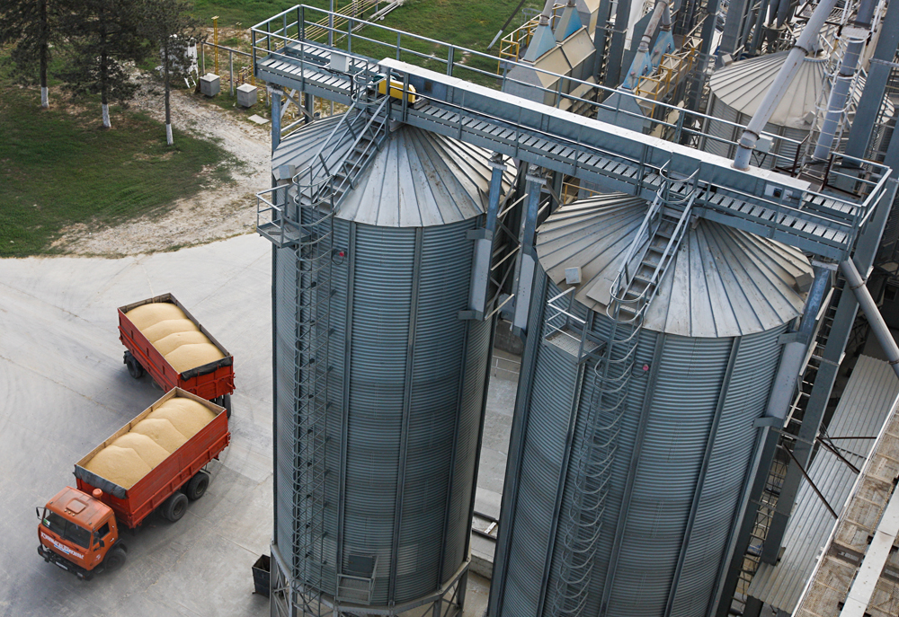 Région de Krasnodar, Russie. Un camion chargé de riz paddy dans l'usine du groupe AFG national.