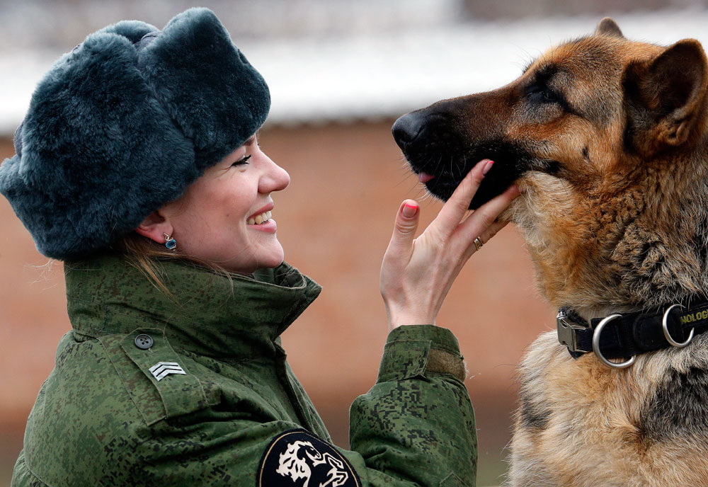 K-9 Officer Sergeant Yevgeniya Shvetsel with a German Shepherd dog named Zhasmin at the canine training center of the North Caucasus regional command of the Russian Interior Ministry's Internal Troops. Rostov region