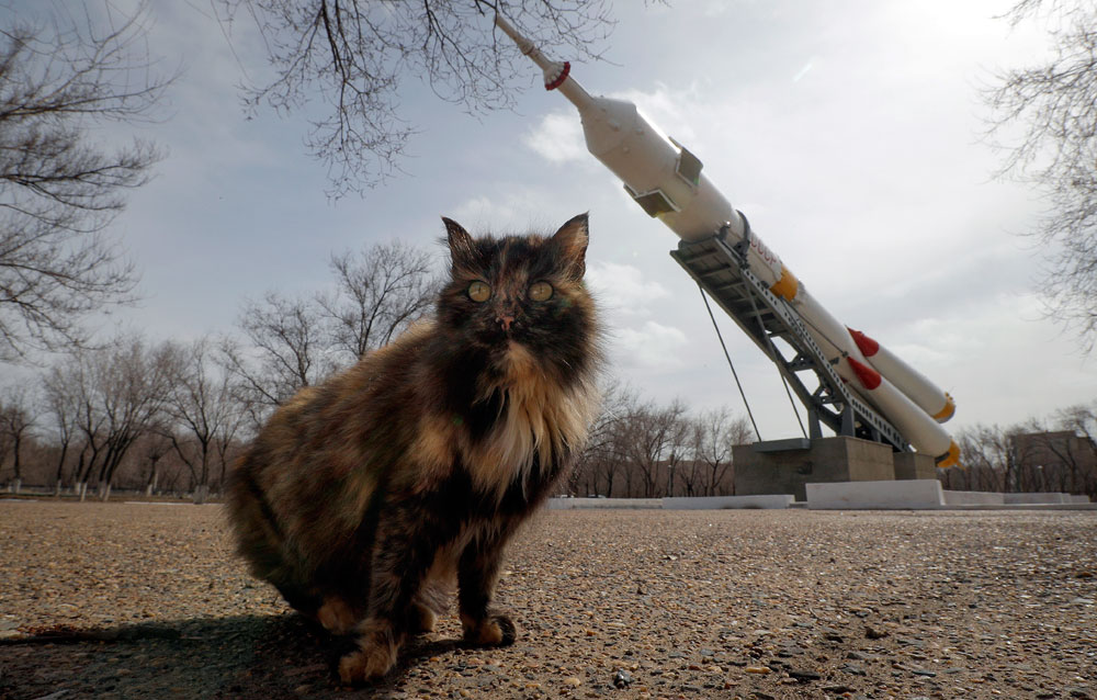 Котка пред ракетата „Союз“, инсталирана като паметник на космодрума Байконур. Следващият полет на „Союз“ до Международната космическа станция е насрочен за 19 март.