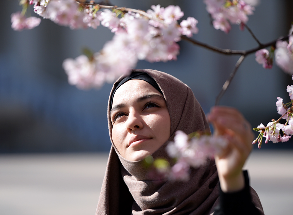 A girl gazes at the bloom of cherry blossoms in Grozny.