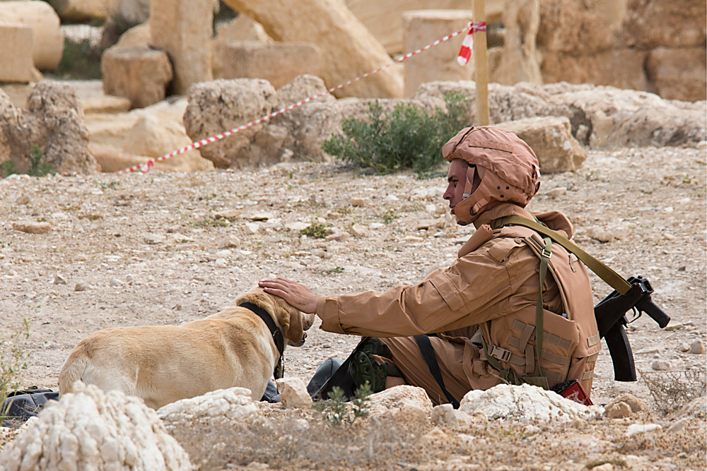 Para spesialis penjinak bom juga dibantu anjing-anjing terlatih untuk menjalankan tugas mereka.