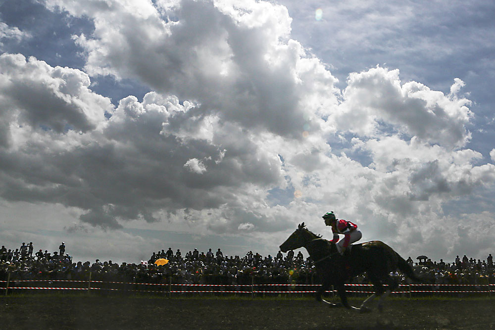 Коњске трке су организоване у част 71. годишњице Победе у Великм отаџбинском рату 