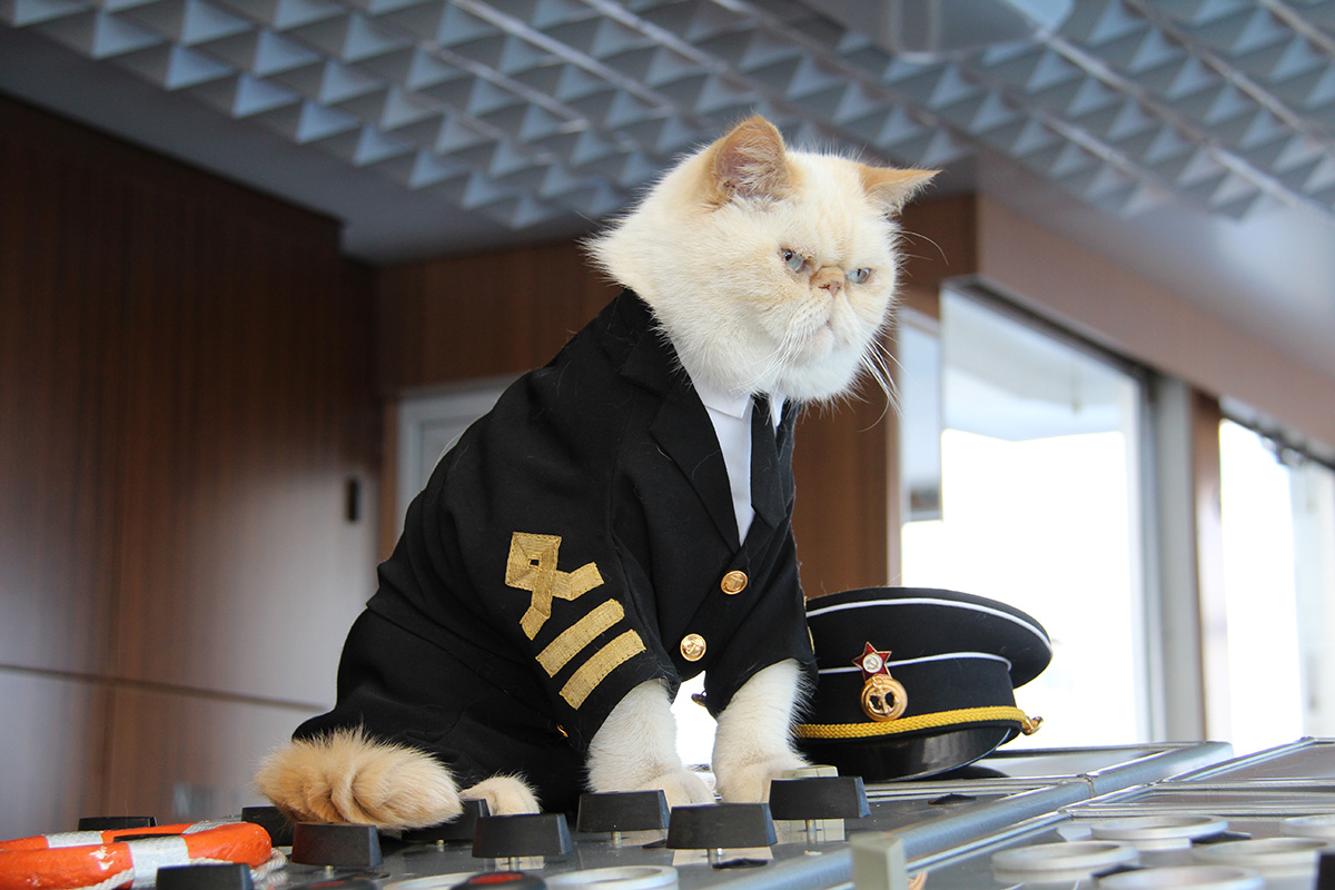 During the winter the cats live in the captain’s home. It is no coincidence that his name is Vladimir Kotin (‘kot’ in Russian is ‘cat’). 