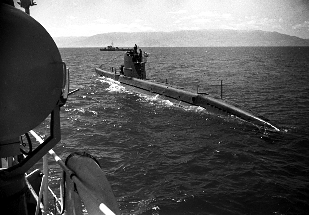 Бродови и подморници на Црноморската флота во мисија во 1942 година.