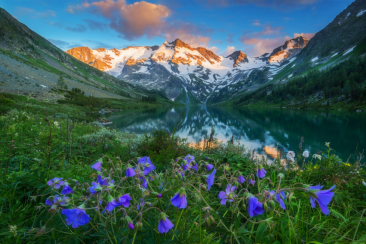 La riserva naturale copre il 20% della Repubblica dell’Altaj