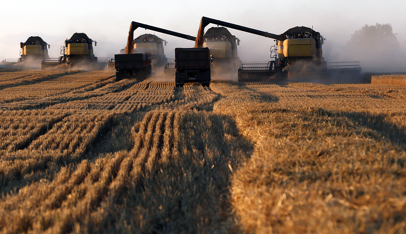 Récolte de blé près du village de Talniki, près de Krasnoïarsk (Sibérie), le 27 août 2015. 