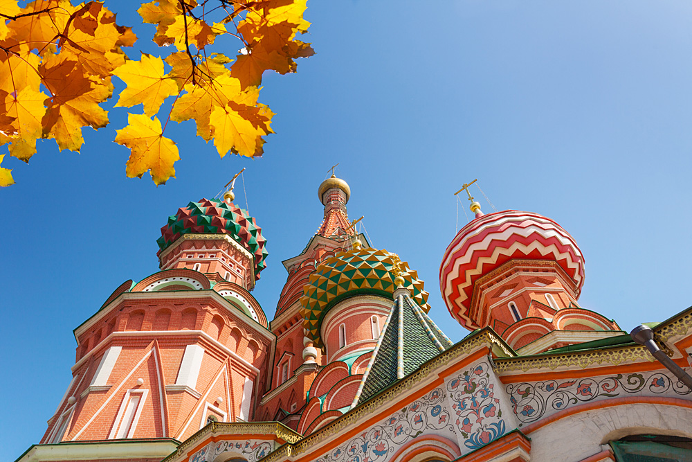 Dancing, eating, drinking, boating, breathing: 5 great ways to spend your fall weekends in Russia's capital