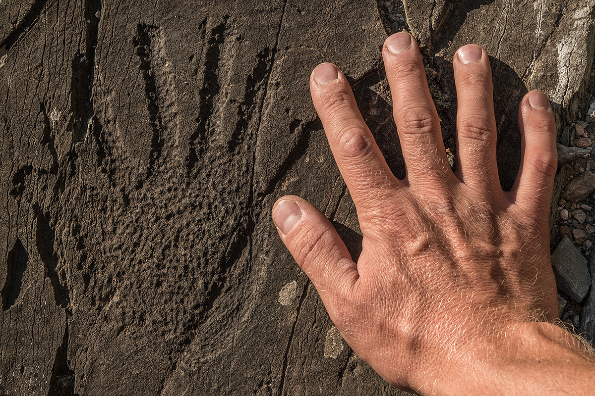 Steingemeißeltes Bild einer Männerhand aus der Bronzezeit, rund 1.500 v. Chr. Ein seltenes Bild für die Altai-Region. Unter den tausenden hiesiger Petroglyphen gibt es nur zwei Abbildungen einer Hand.