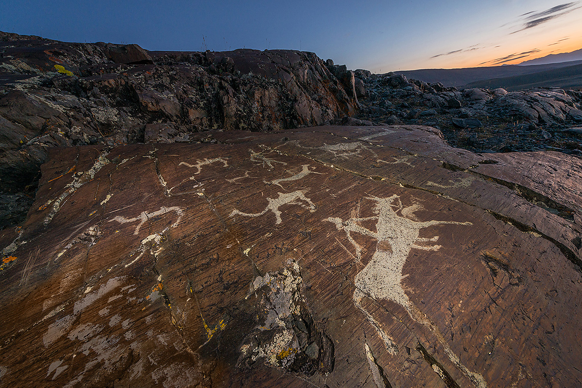 Une image à plusieurs figures : un cavalier, un conducteur de chameaux et des animaux ongulés. Près de la rivière Elangach. Plus de 200 sites de pétroglyphes ont été découverts dans l’Altaï. 