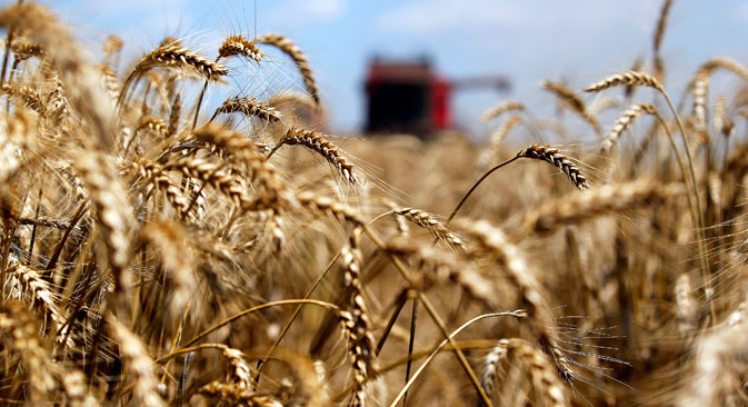 Exportação anual de grãos russos à China deve chegar a 3 milhões de toneladas até 2020