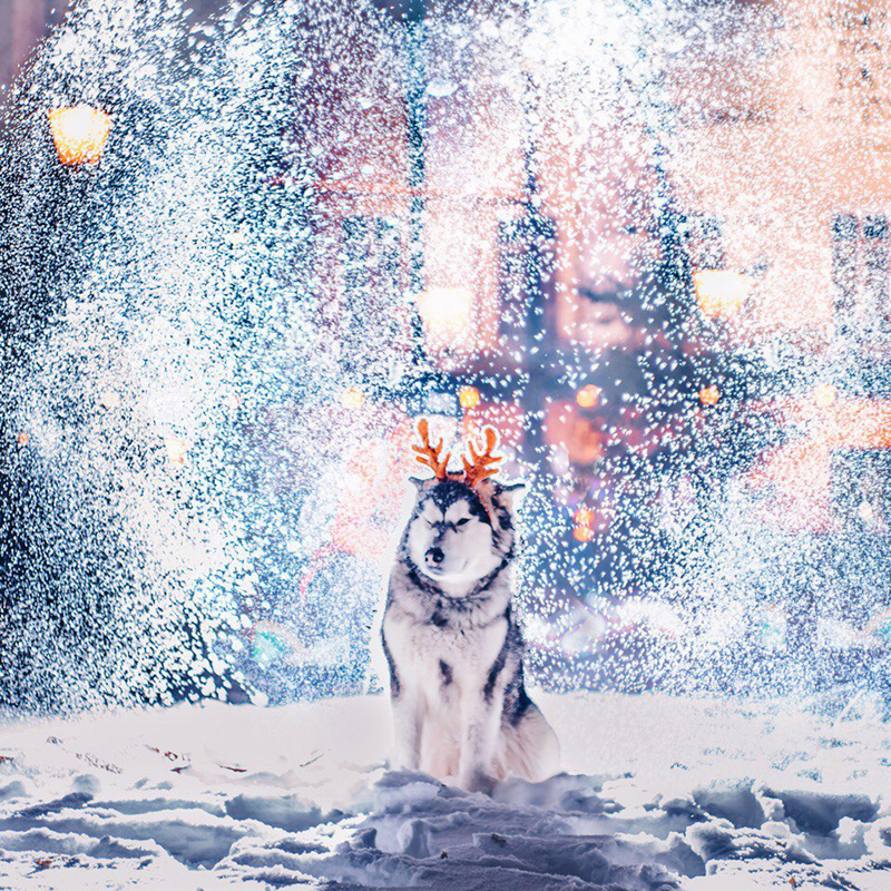 Pasar Natal, dekorasi yang cerah, gelanggang es, dan kafe-kafe hangat: ibu kota Rusia sangat hangat dan nyaman pada periode ini.