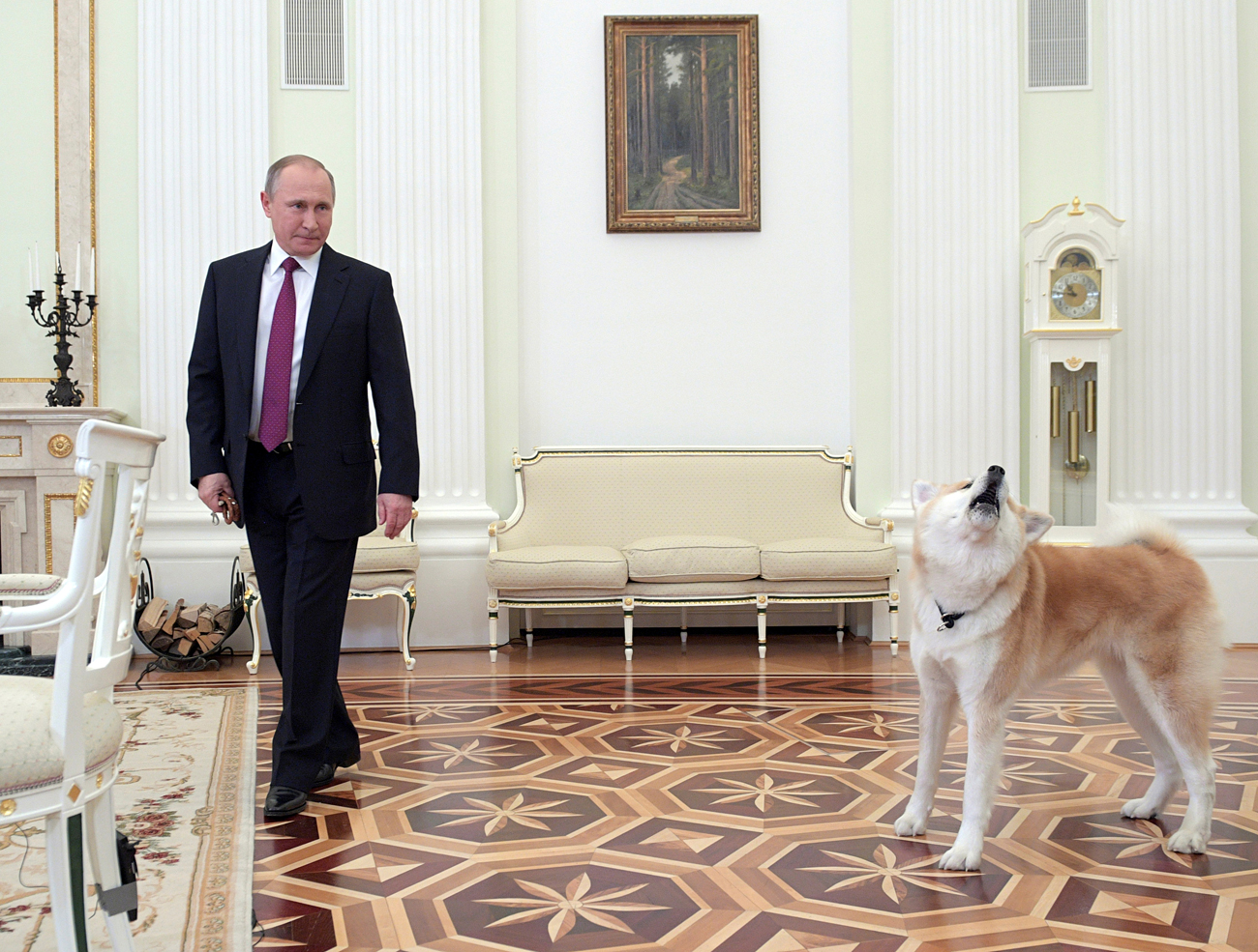 Russian President Vladimir Putin enters a hall with his dog Yume before giving an interview to journalists from Japan.