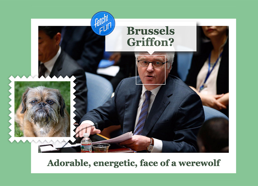 Vitaly Churkin (Russian diplomat who has served as Russia's Permanent Representative to the United Nations) as Brussels Griffon.