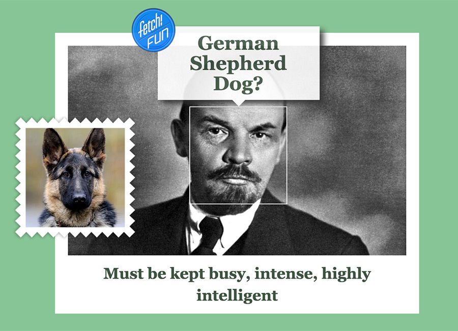 Vladimir Lenin (Russian communist revolutionary, politician, and political theorist) as German Shepherd Dog.