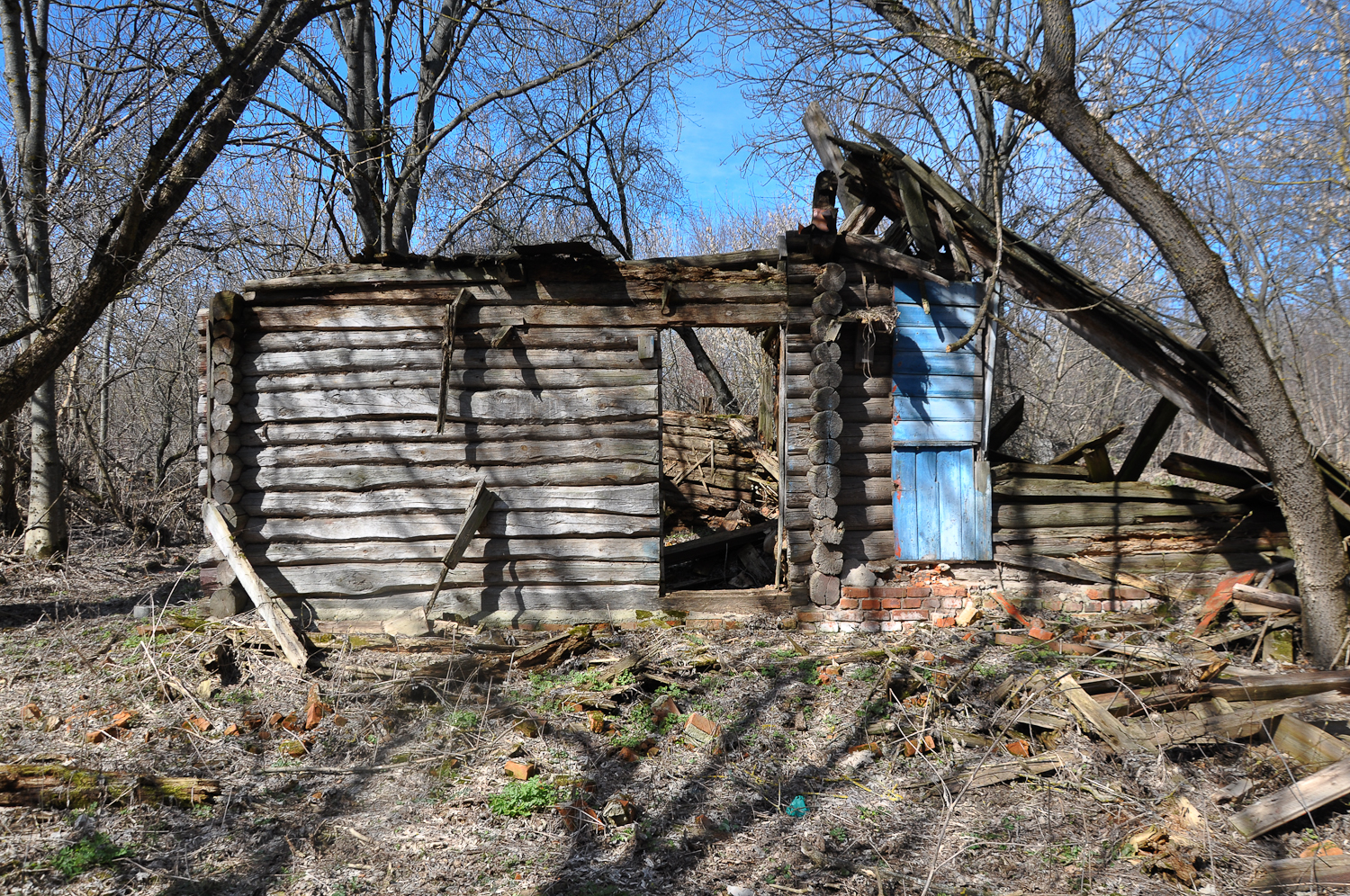 ブリャンスク州スヴァツク村。チェルノブイリの悲劇で消滅した村のひとつ=