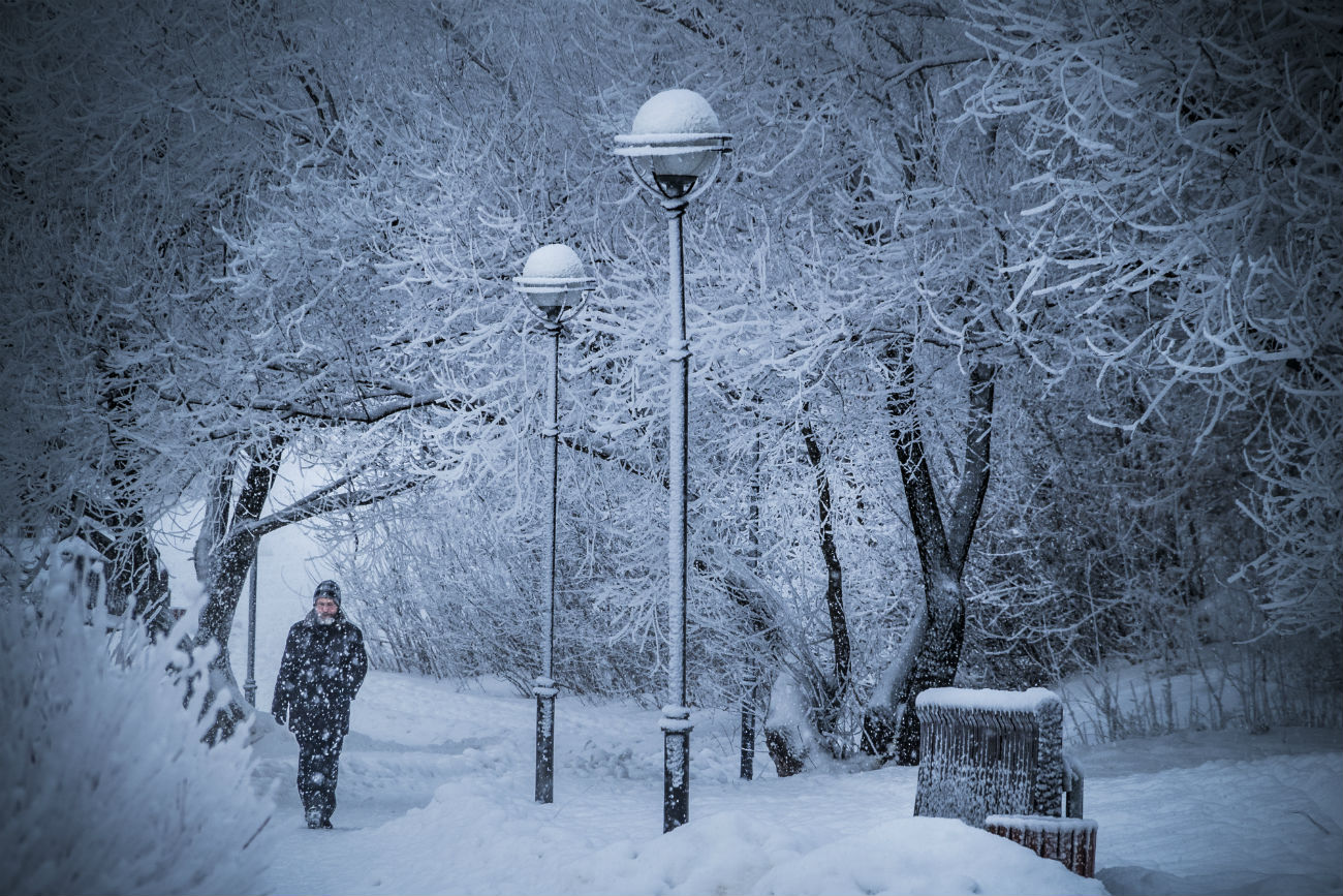 Una fredda giornata d’inverno a Mosca. 20 dicembre 2016