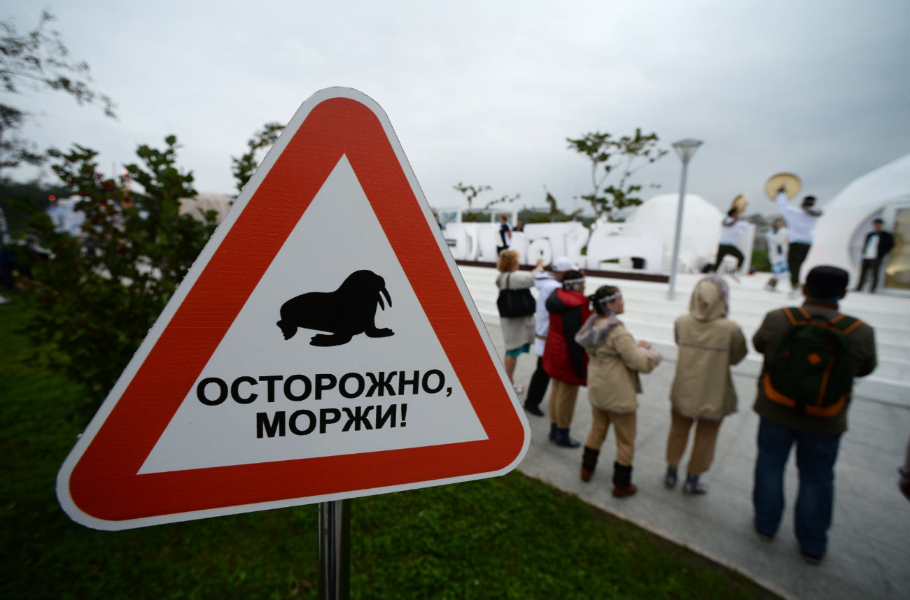 Знакот на кој пишува „Внимание, моржови!“ беше поставен во павилјонот „Чукотка“ за време на Источниот економски форум 2016 година во Владивосток. Тихоокеанските моржови се по потекло од Чукотскиот автономен округ.09/02/2016
