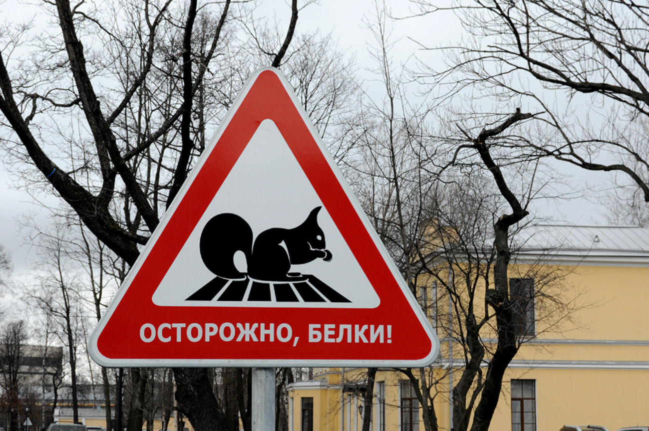 Предупредувањето „Внимание, верверици!“ се наоѓа на Свердловскиот насип во Санкт Петербург. Овие мали глодари често се гледаат во околината.Danil Churilov