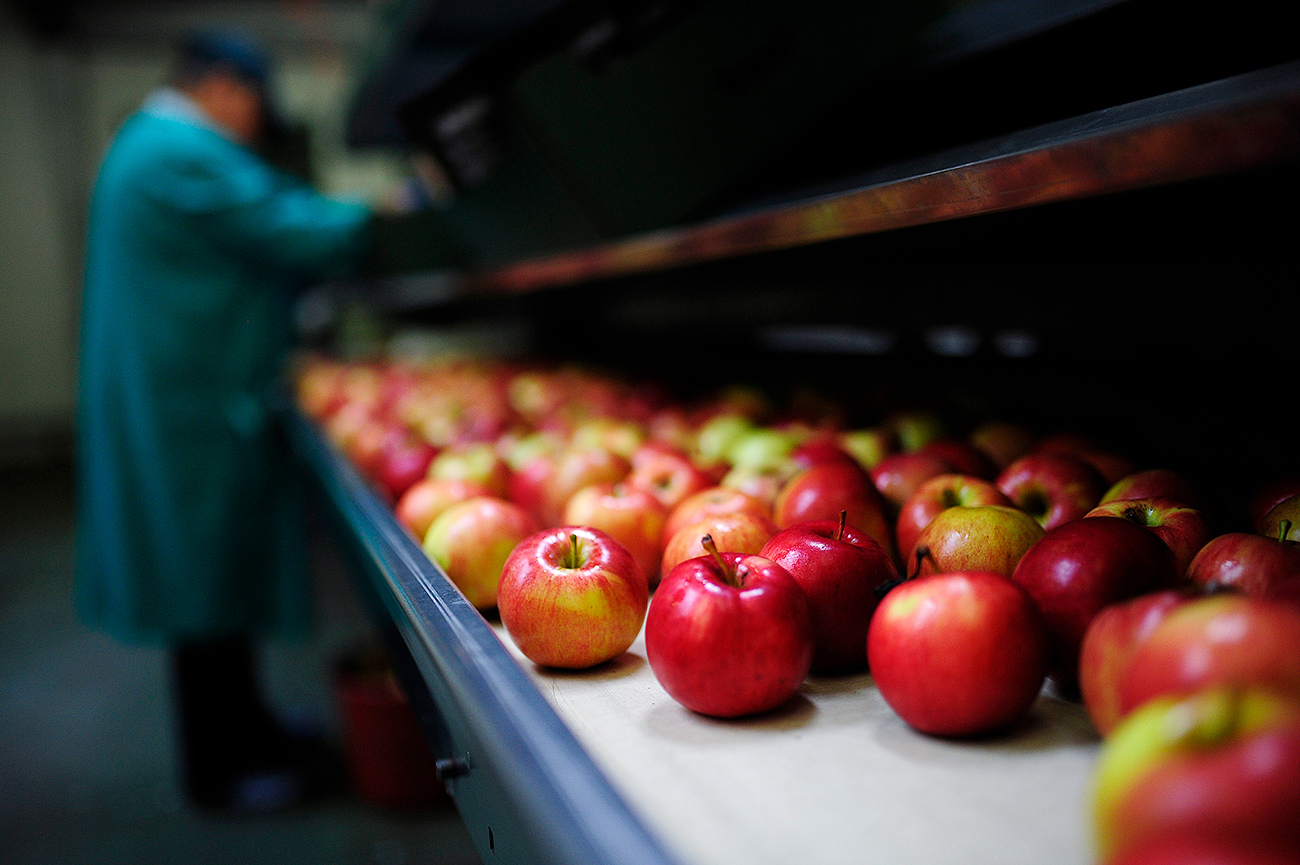 Fruit from Poland is delivered to Russian supermarkets disguised as Belarusian.
