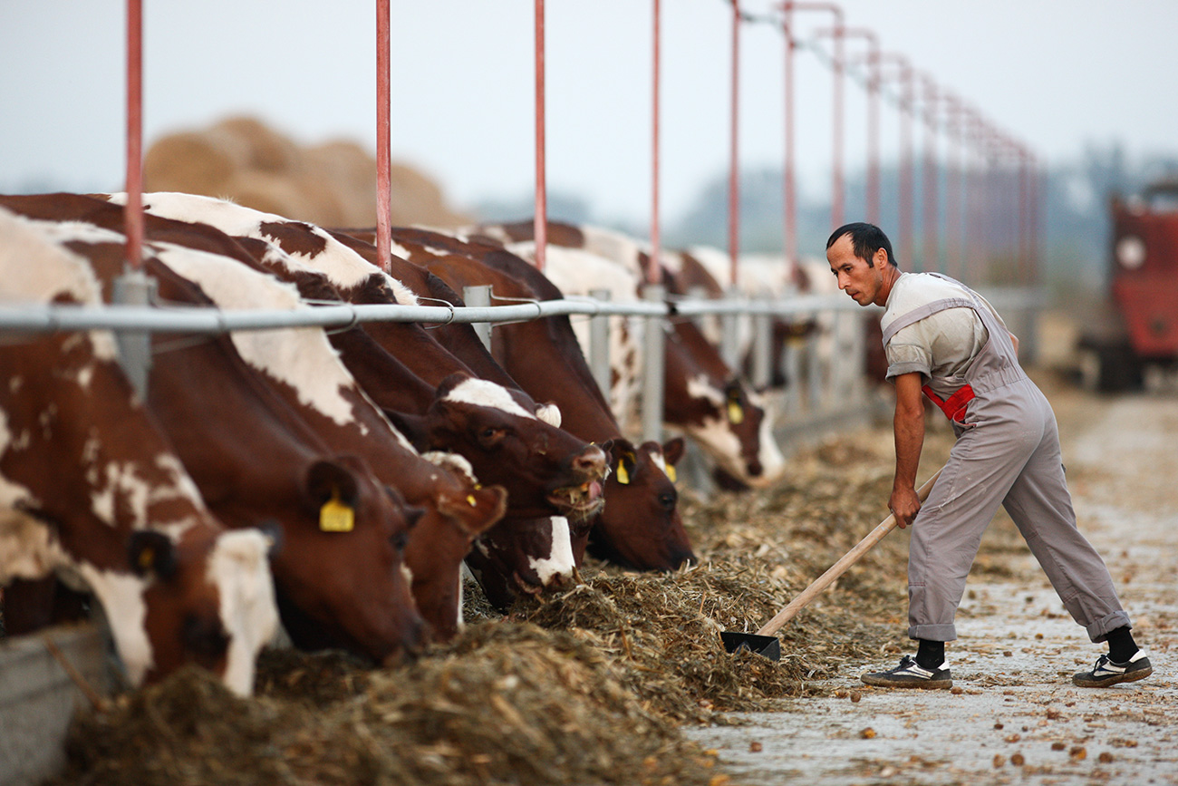 how-to-open-a-farm-in-russia-if-you-re-a-foreigner-russia-beyond