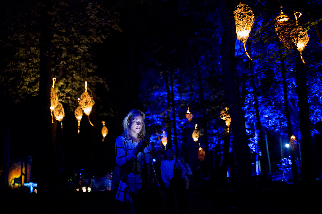 Russian and European artists decided to play with birds, trees, water and light during the Inspiration Art Festival.