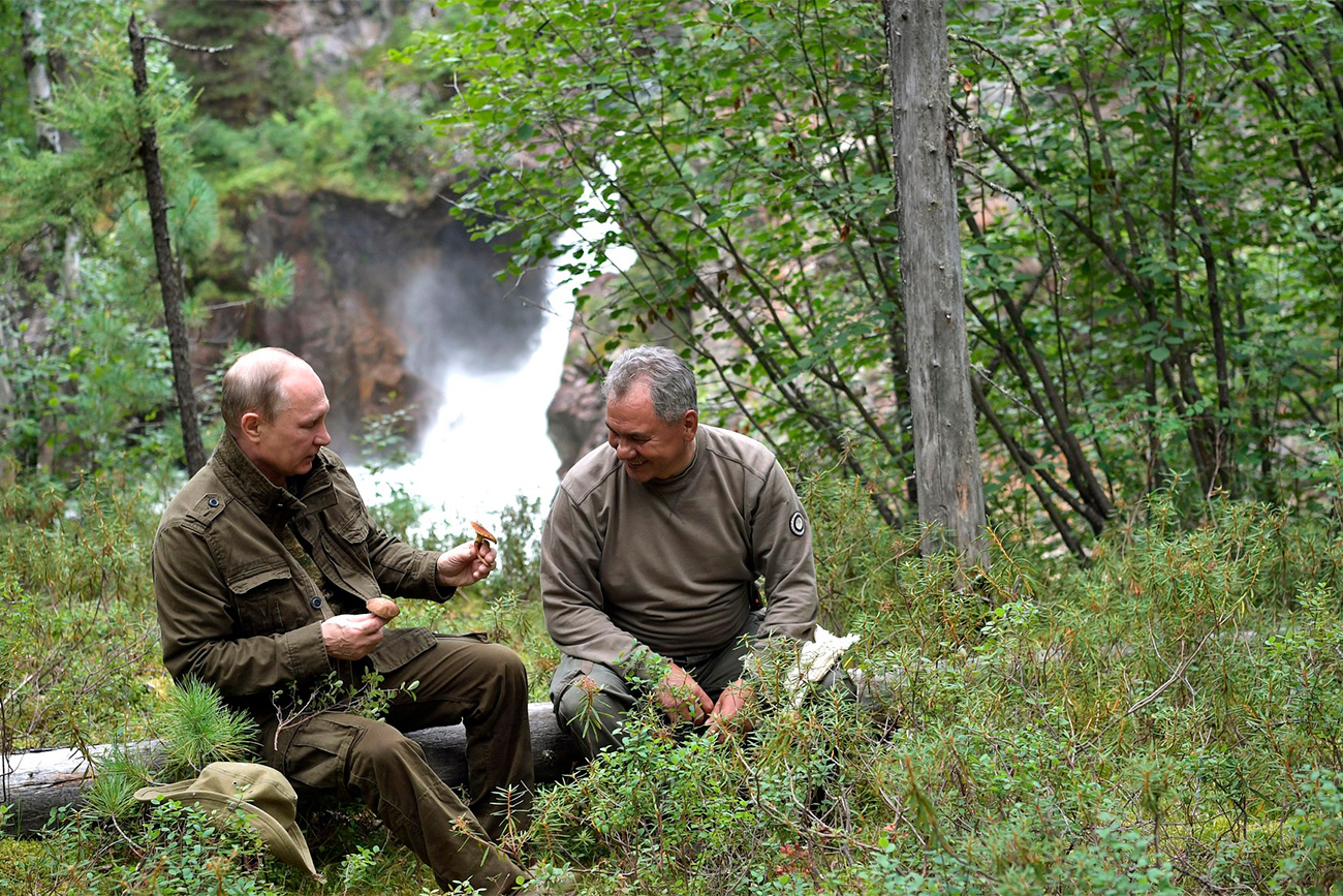 Vladimir Putin and Sergei Shoigu pick mushrooms. However, we don’t recommend you do the same unless you know what you're doing - they could be poisonous.