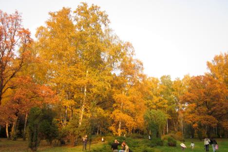 Moscow botanical gardens in autumn are just one destination Phoebe writes about.