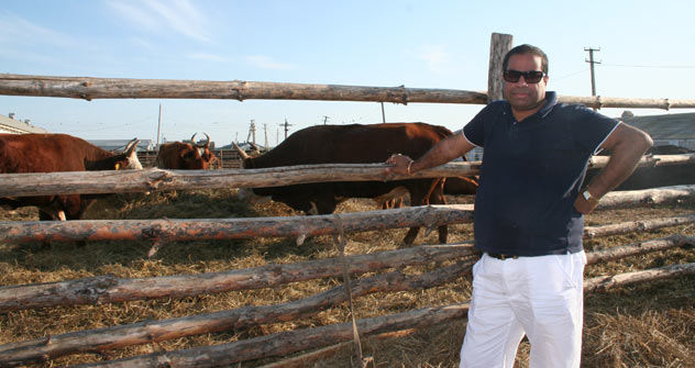 Matharu Harjinder Singh at his farm.