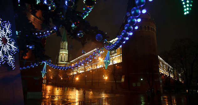 Mosca vestita a festa per Natale (Foto: Ruslan Sukhushin)